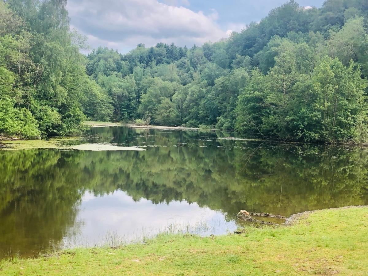 Apartament Gemuetliche Fewo Naehe Hachenburg, Bad Marienberg Langenbach bei Kirburg Zewnętrze zdjęcie